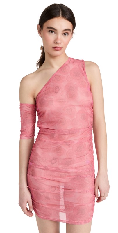 Lioness Dirty Dancing Mini Dress Roses