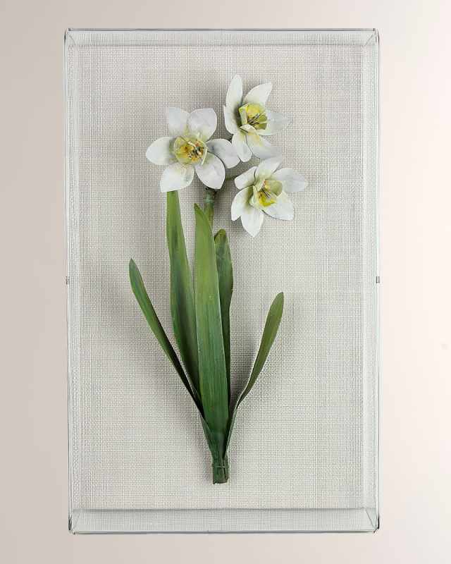Narcissus December Birth Flower Wall Art