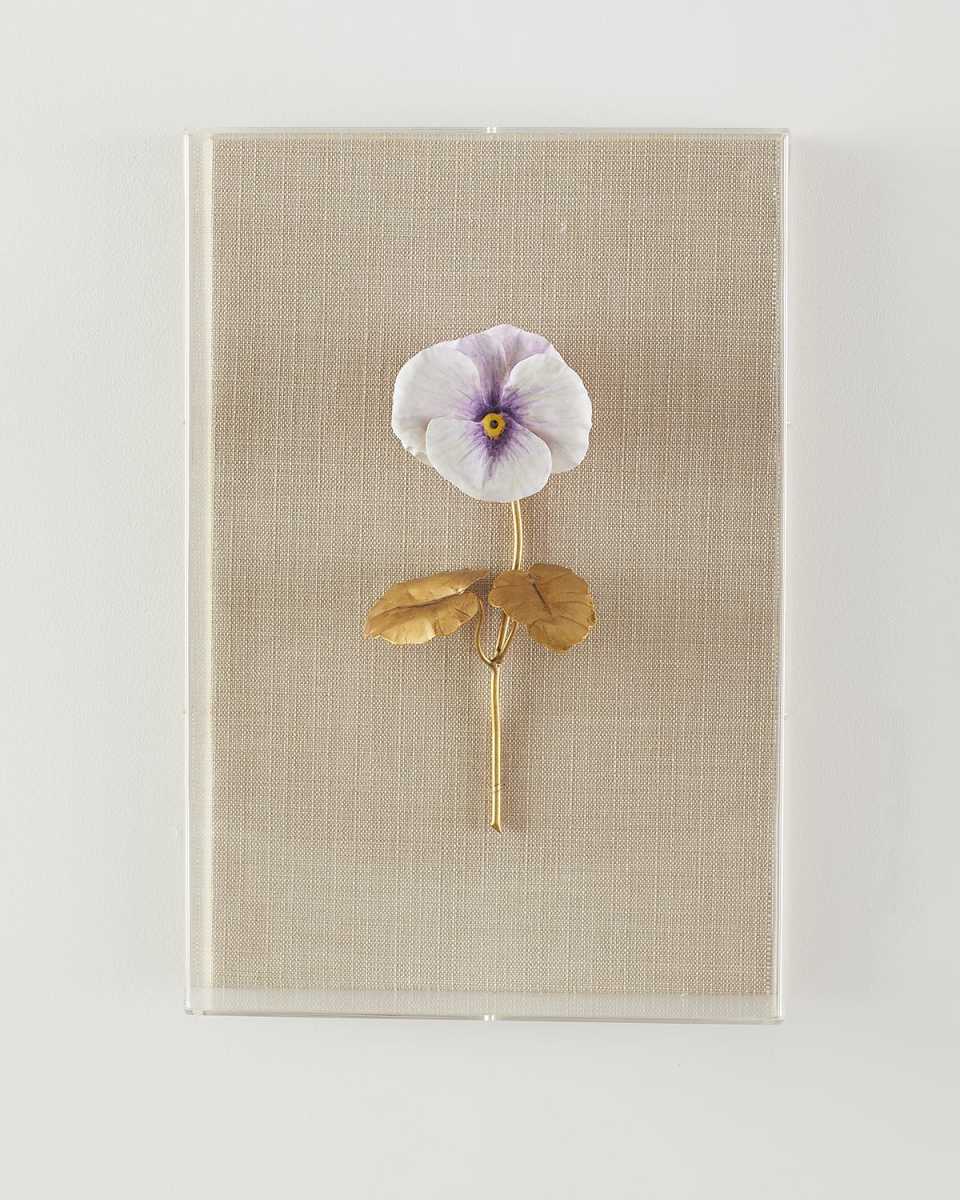 "Pansy Study 6" Wall Art