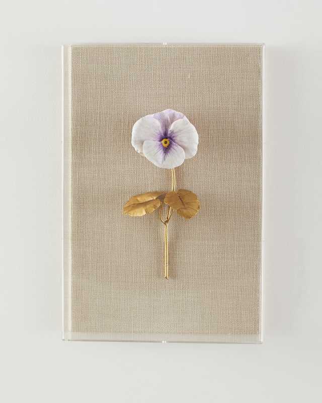 "Pansy Study 6" Wall Art