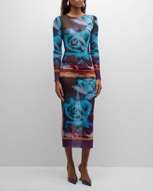 Roses Mesh Long-Sleeve Dress