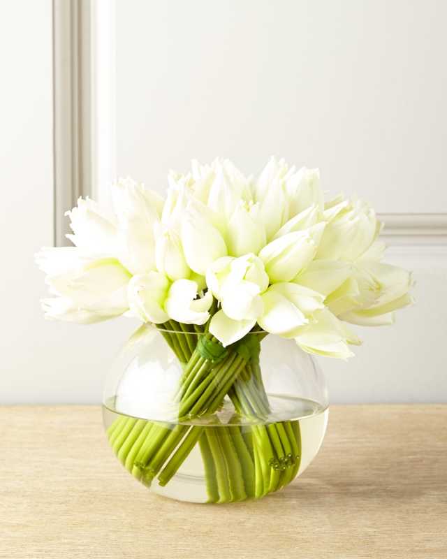 Angelique Tulips