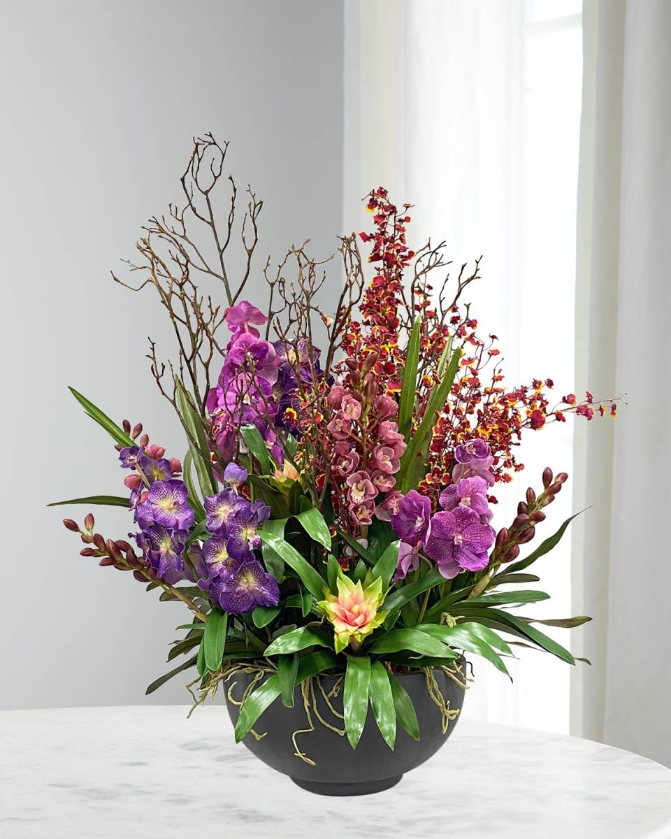Vanda Orchid Plant in Bowl
