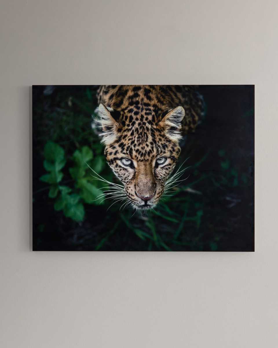 "Hide & Seek" Photography Print Handmade HD Metal & Acrylic Art