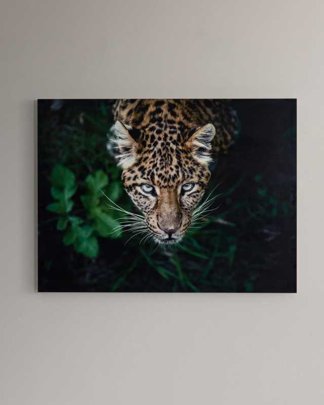 "Hide & Seek" Photography Print Handmade HD Metal & Acrylic Art