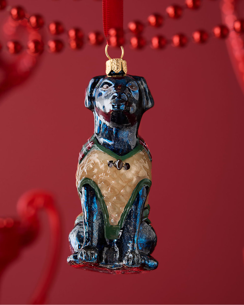 Black Lab in Coat Christmas Ornament