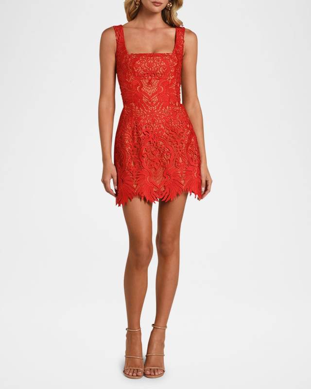Belen Lace Mini Dress
