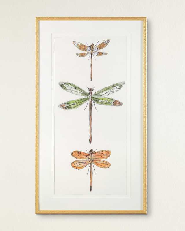 "Joyful Dragonflies II" Giclee Wall Art by Joy Colangelo