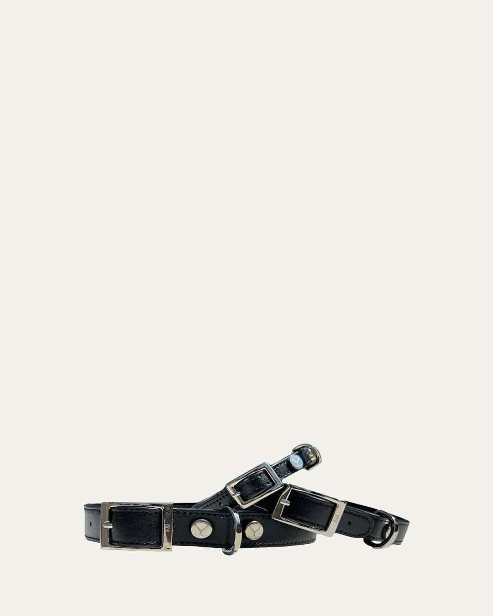 Taylor Pet Collar