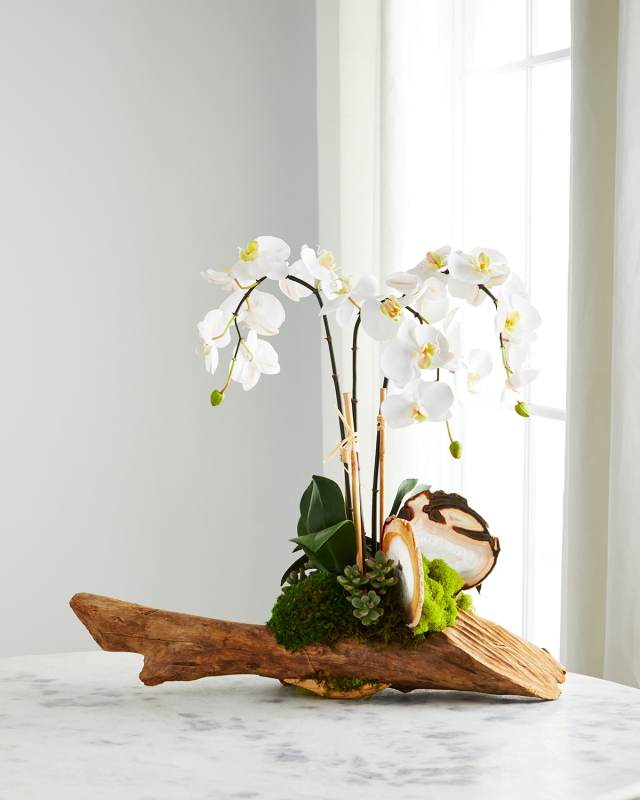 White Orchid in Driftwood Agate Slabs