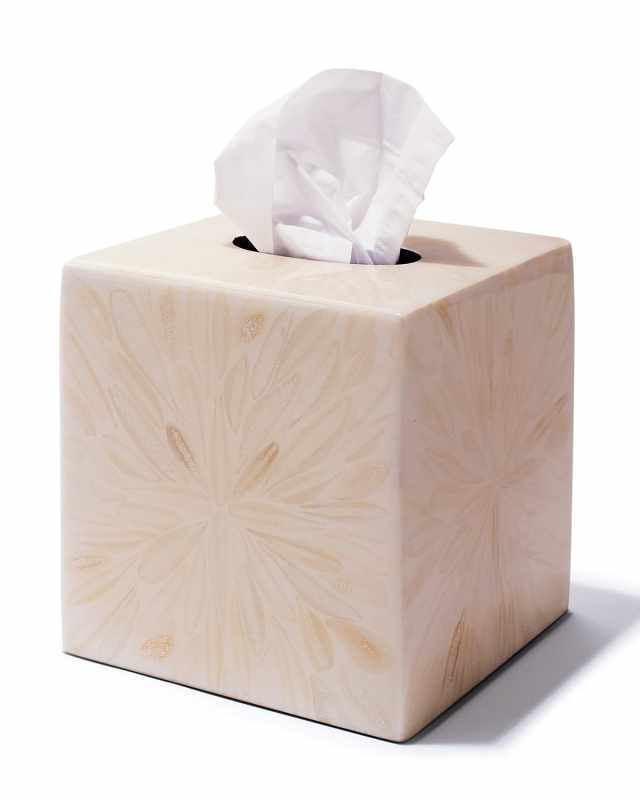 Light Almendro Tissue Box Cover