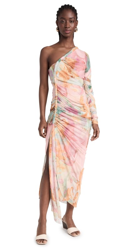 Andrea Iyamah Turi Mesh Dress Zuli Print