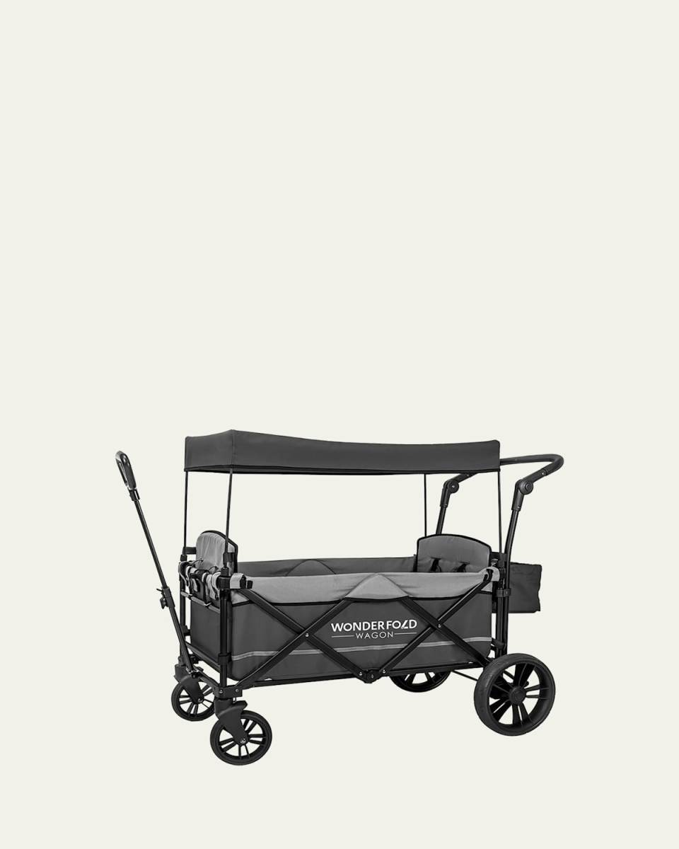 X2 Push & Pull Double Stroller Wagon