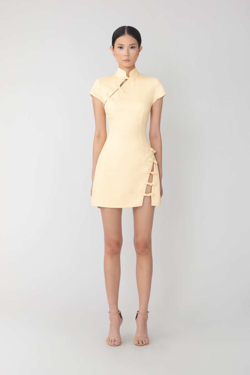 Iris Mini Dress