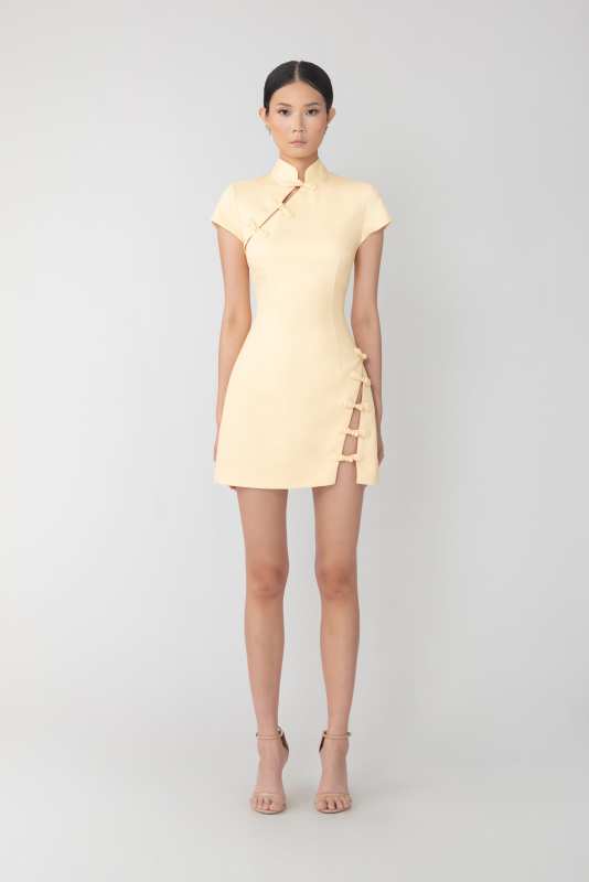 Iris Mini Dress