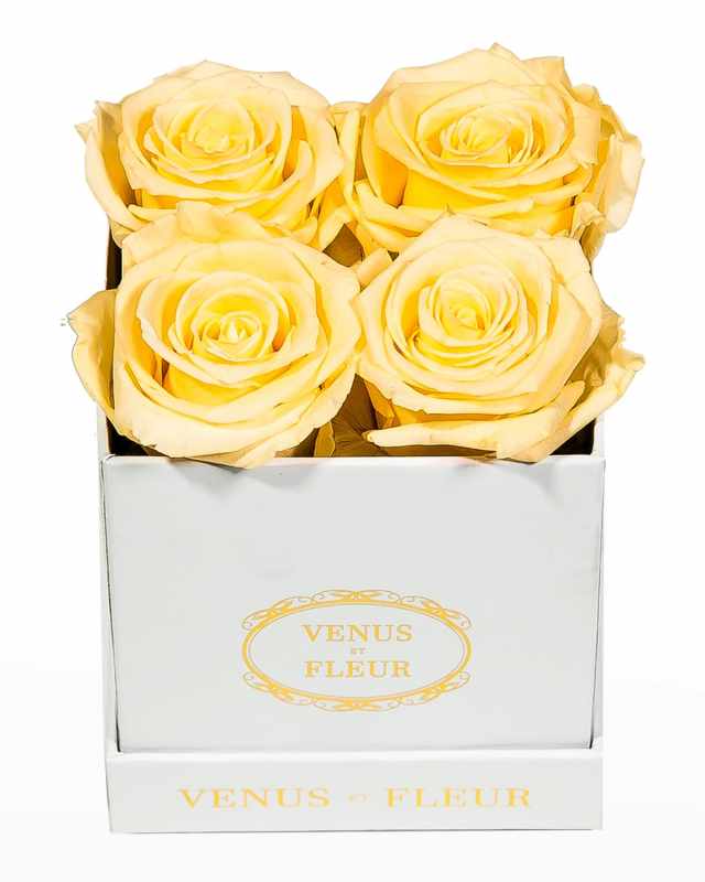 Classic Petite Square Rose Box