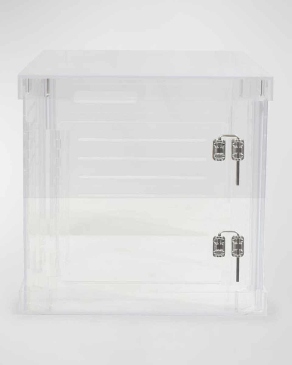 Small Clear View Pet Crate with Silver Latches