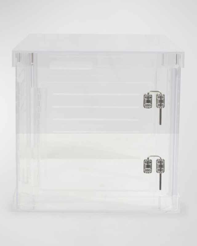 Small Clear View Pet Crate with Silver Latches