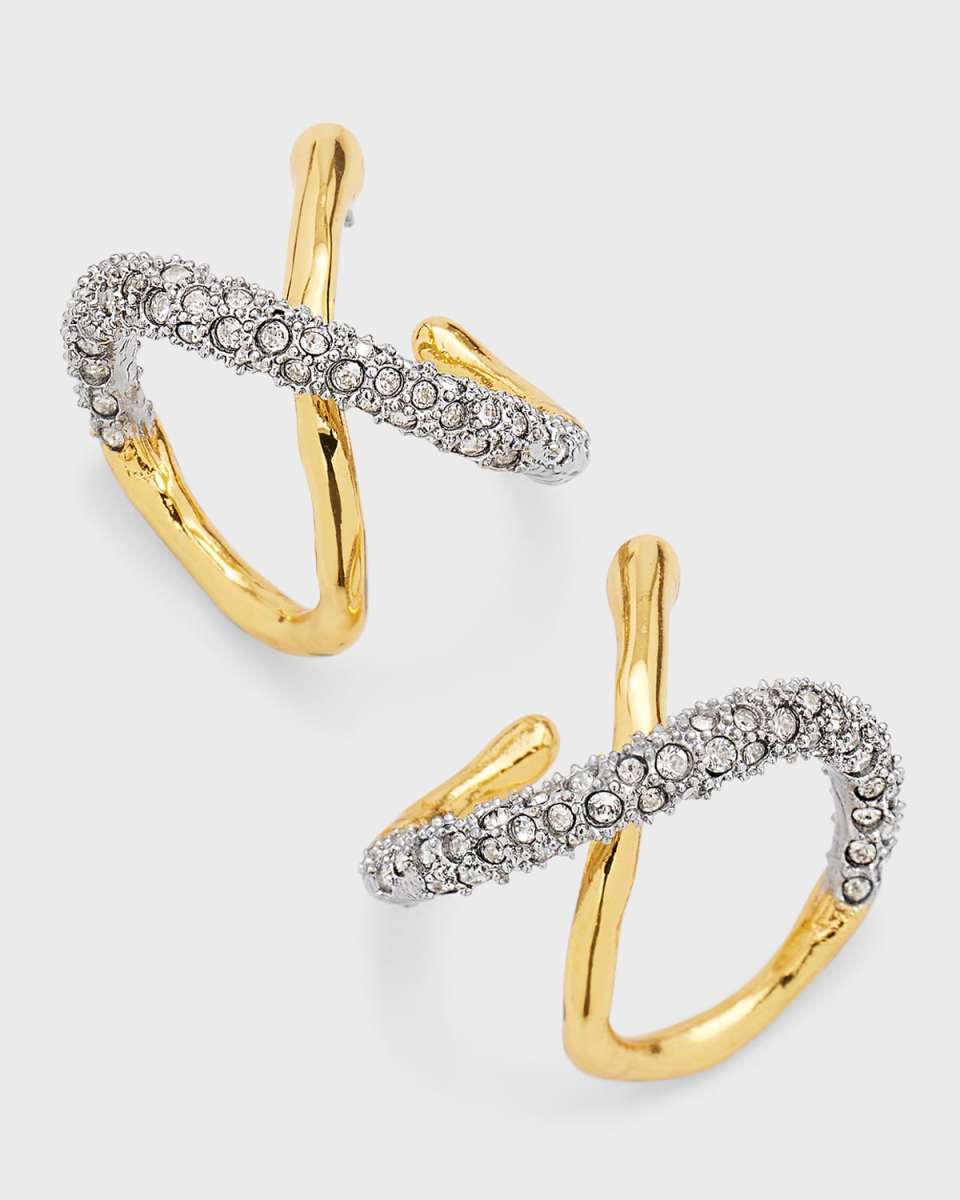 Solanales Twisted Orbit Hoop Earrings