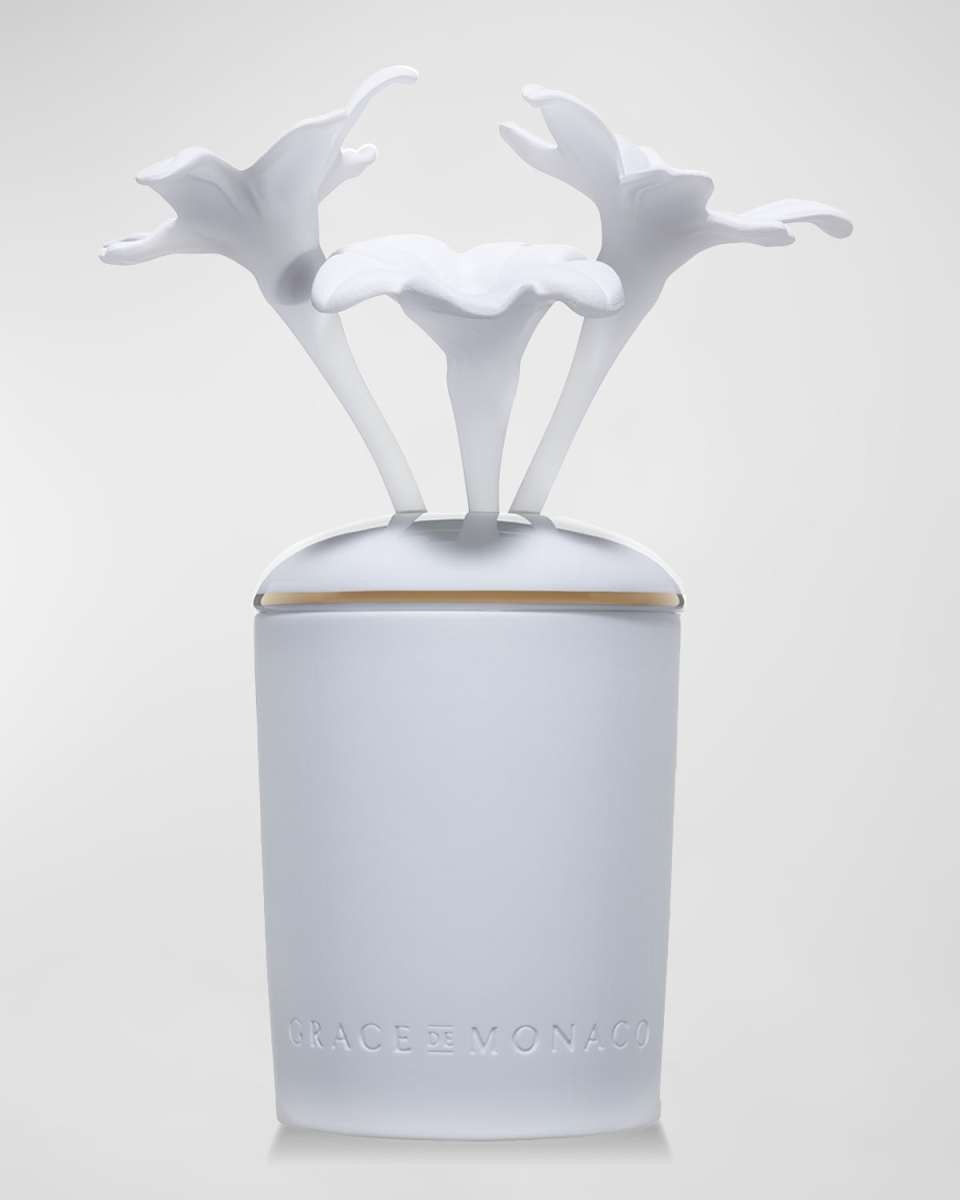 Porcelain Fragrance Diffuser