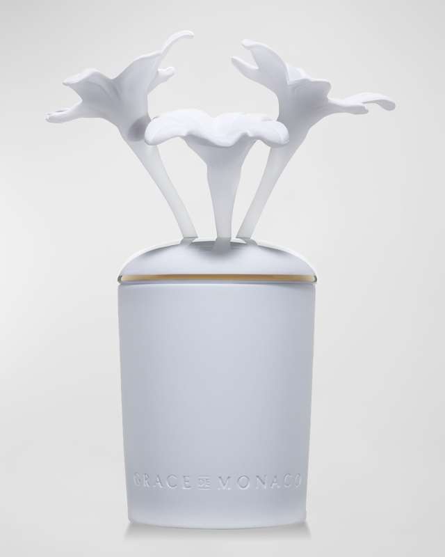 Porcelain Fragrance Diffuser