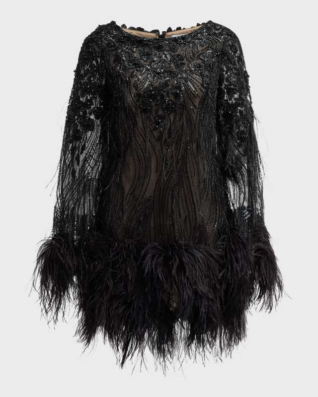 Embellished Mesh Long-Sleeve Mini Dress with Feather Trim