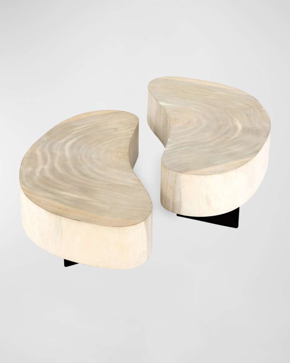Avett Bunching Coffee Tables, Set of 2