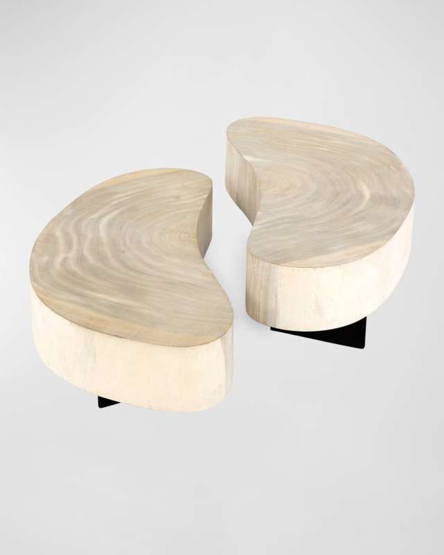 Avett Bunching Coffee Tables, Set of 2