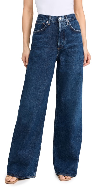 AGOLDE Dame Jeans High Rise Wide Leg Enamour