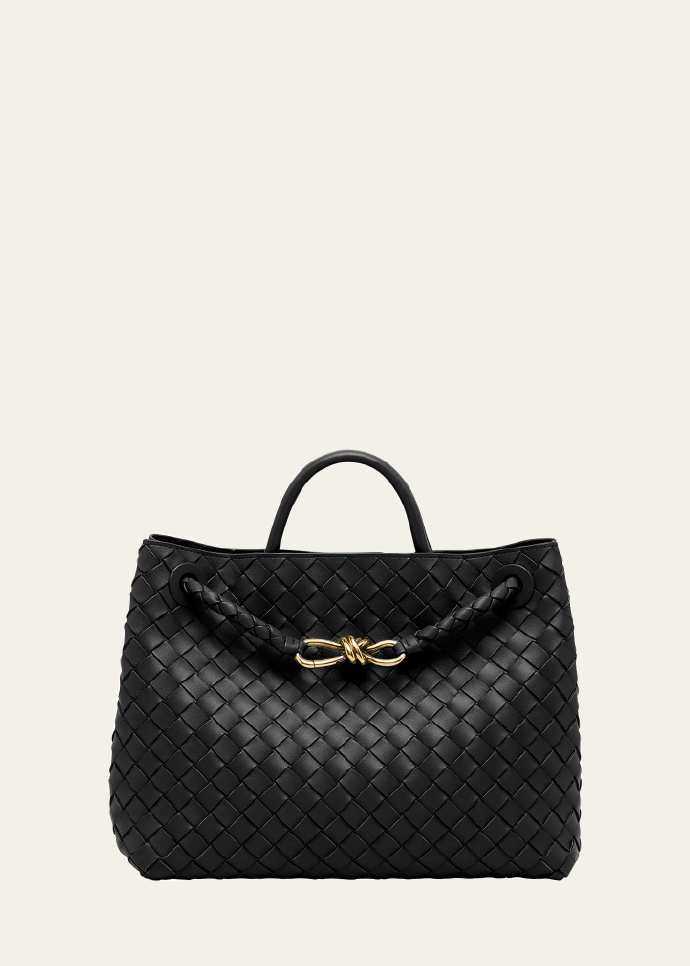 Bottega Veneta Medium Andiamo Bag
