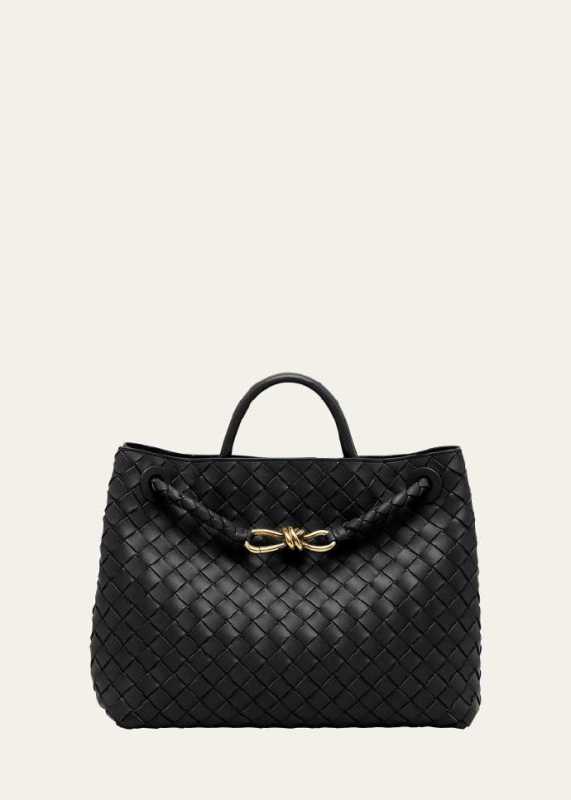 Bottega Veneta Medium Andiamo Bag