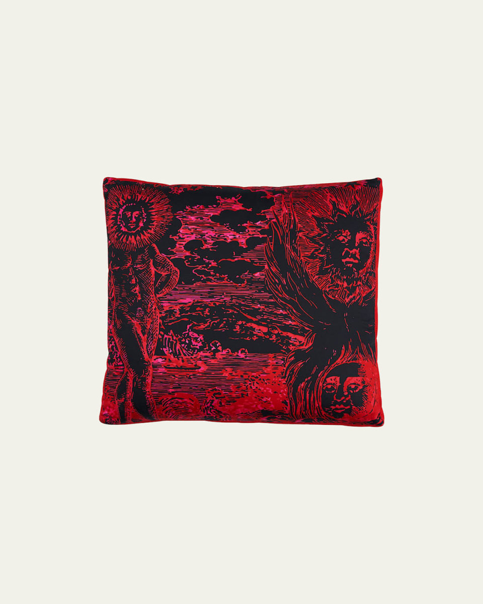 Modern Toile 20" Box Pillow