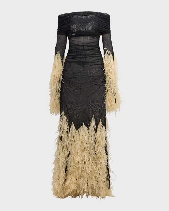 Feather-Trim Mesh Off-The-Shoulder Mesh Gown