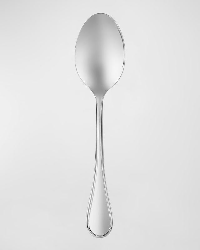 Albi Acier Large Serving Spoon