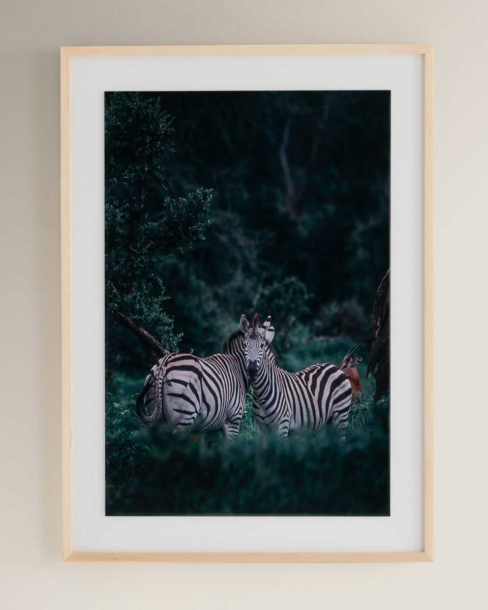 "Watching" Photography Print On Photo Paper Framed Wall Art