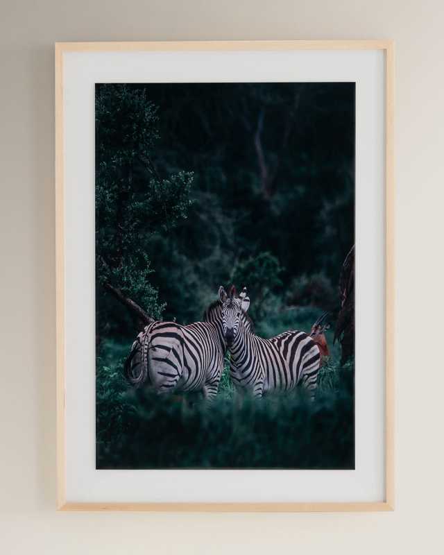 "Watching" Photography Print On Photo Paper Framed Wall Art