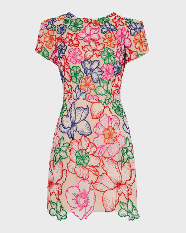 Kyla Floral-Embroidered A-Line Mini Dress