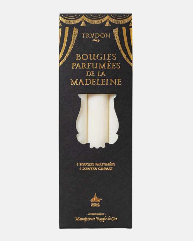 Fir Christmas Tree Madeline Taper Candles, Set of 6
