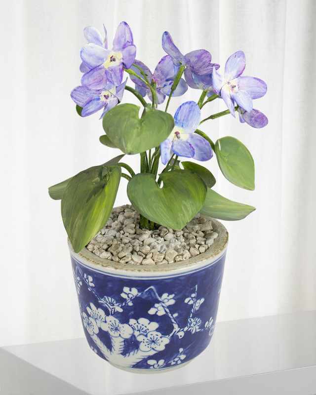 Violet February Birth Flower in Ceramic Pot