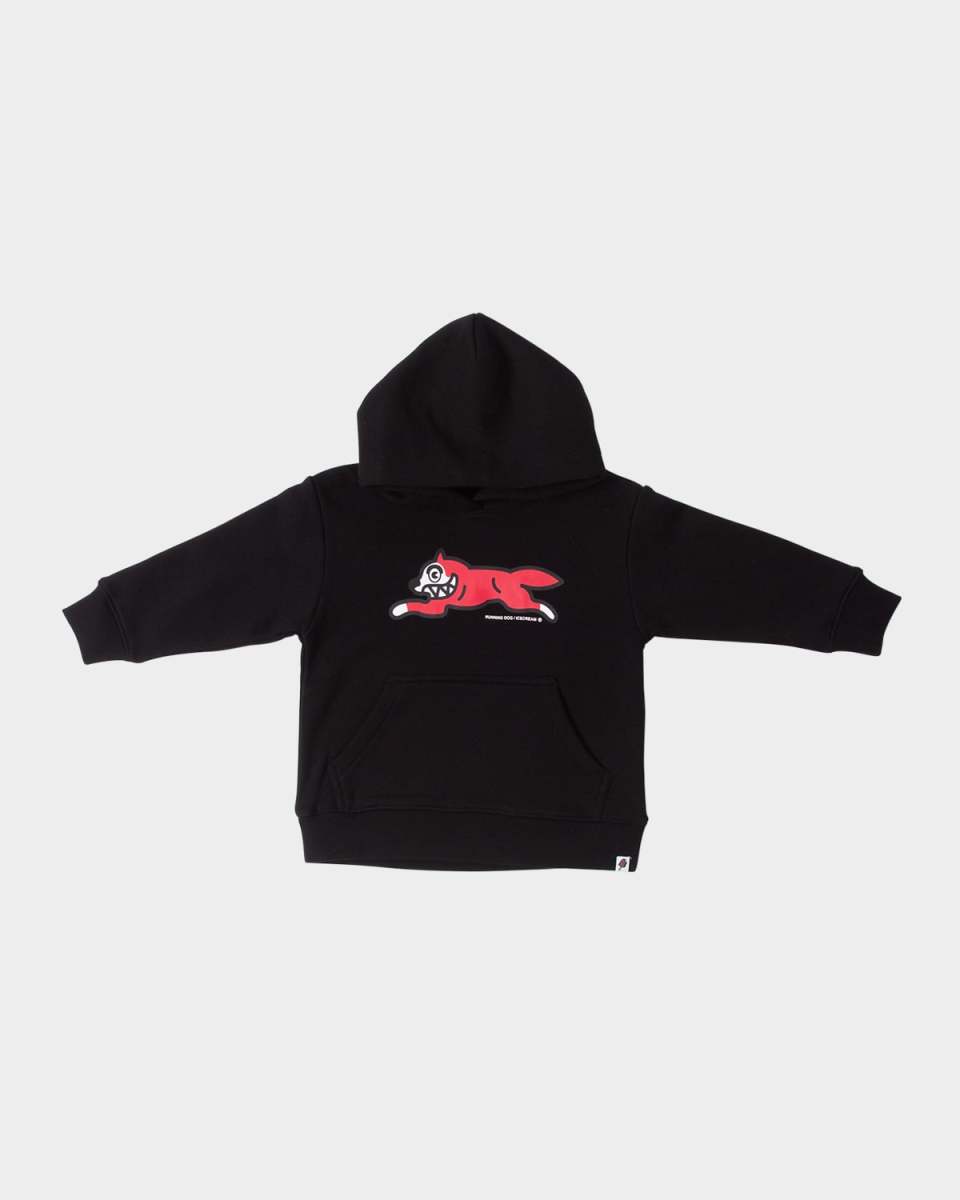 Boy's Canine Graphic Hoodie, Size 2-10