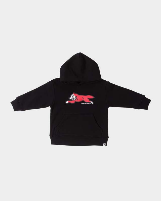 Boy's Canine Graphic Hoodie, Size 2-10