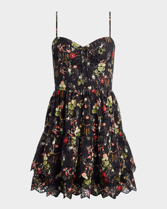 Daisy Eyelet-Embroidered Tiered Ruffle Mini Dress