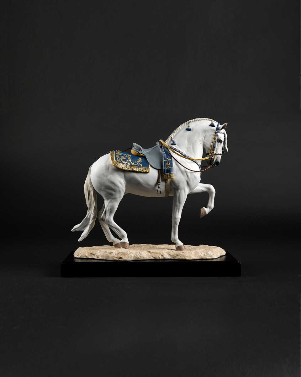Spanish Pure Breed Horse