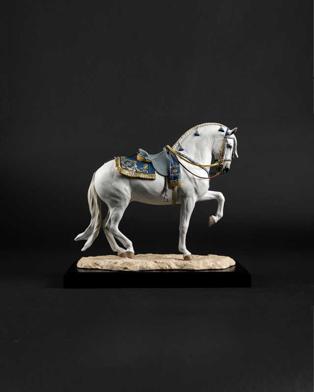 Spanish Pure Breed Horse